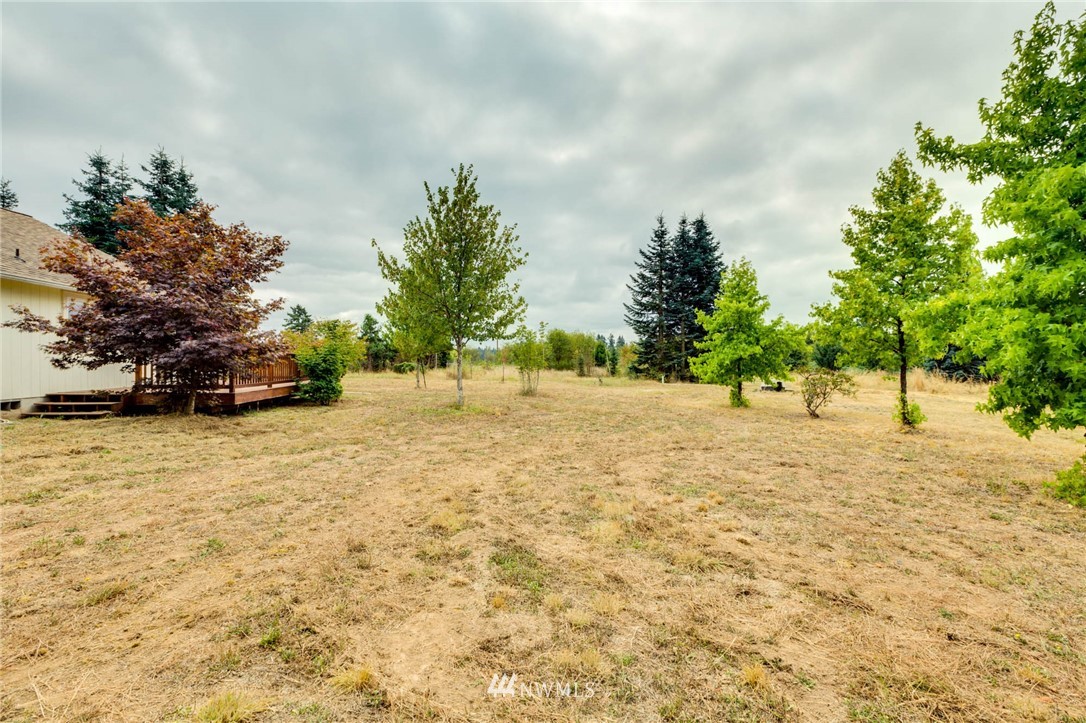471-13 Gore Road Onalaska, WA 98570 - Photo 23 of 25 Gallery Image 23