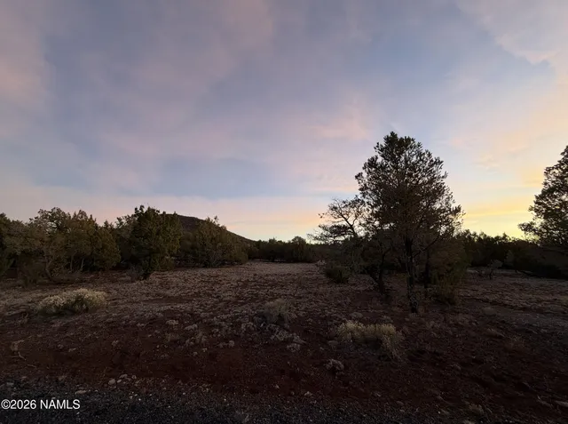 a view of a field of grass and trees