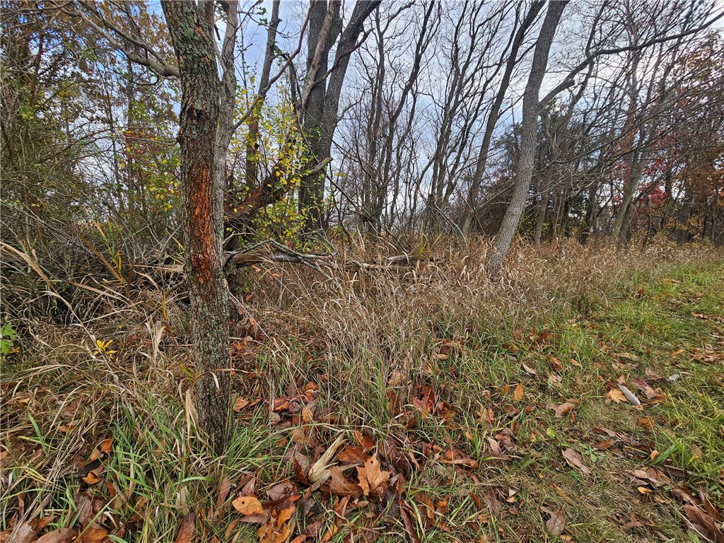 1100 N Road Danville, IL 61834 - Photo 9 of 20