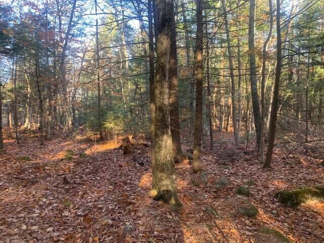Lot#1 Candlewyck Road Windham, ME 04062 - Photo 4 of 5 Interior Pic1
