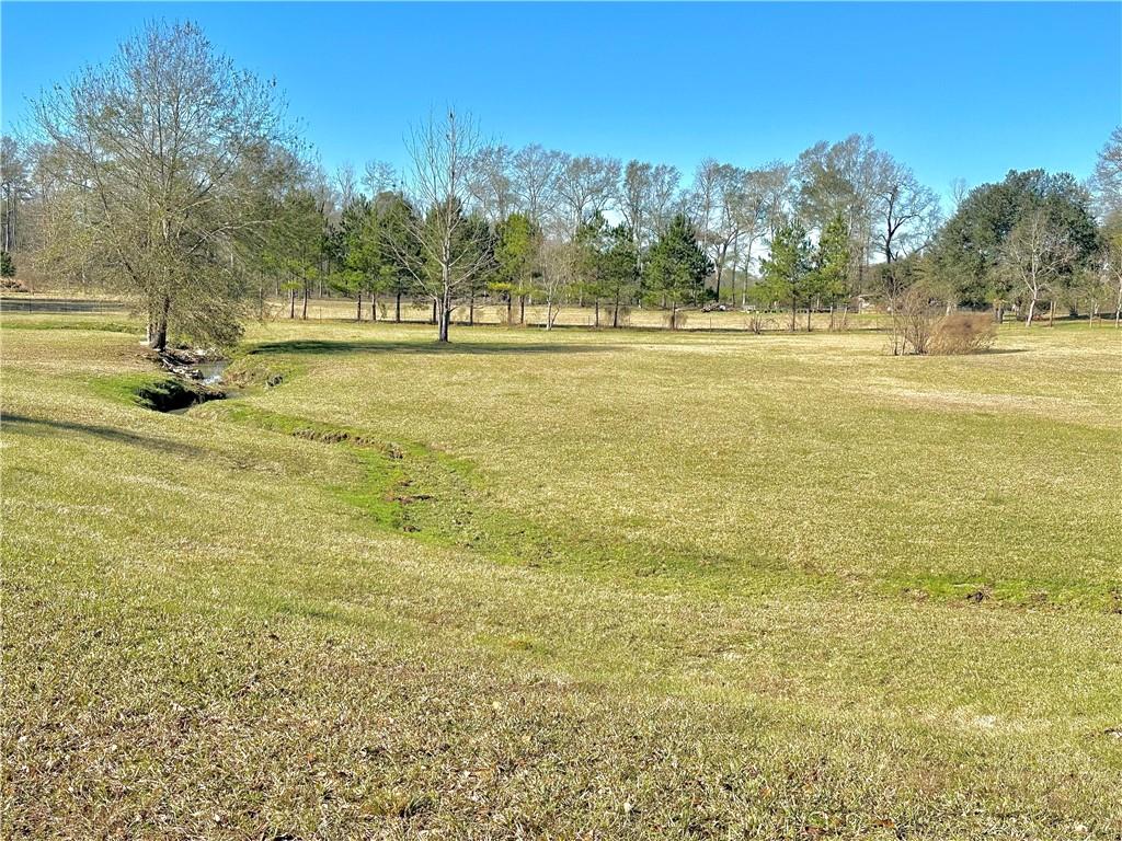 57349 Neal Acres Road Loranger, LA 70446 - Photo 18 of 19