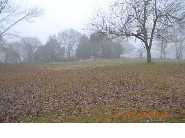 711 Shaver Loop Road Dayton, TN 37321 - Photo 11 of 29 Additional Photo