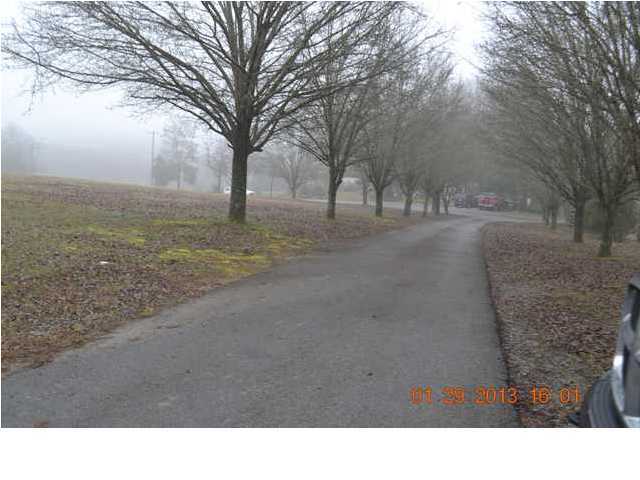 711 Shaver Loop Road Dayton, TN 37321 - Photo 4 of 29 Additional Photo