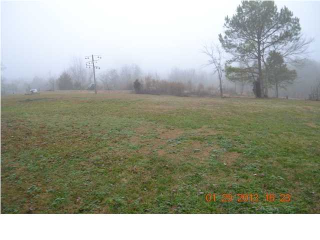 711 Shaver Loop Road Dayton, TN 37321 - Photo 10 of 29 Additional Photo