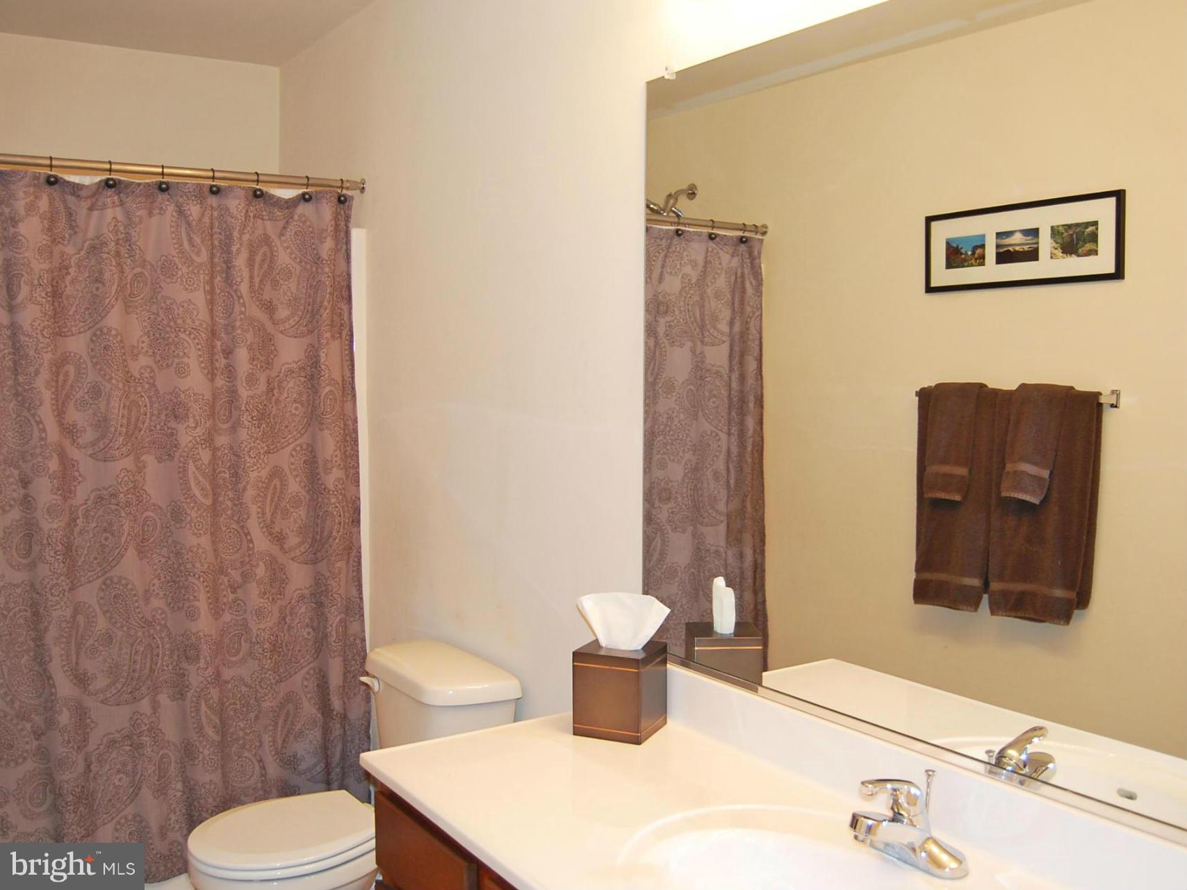 4021 Brummel Road Pasadena, MD 21122 - Photo 20 of 27 a bathroom with a sink a toilet and shower curtain