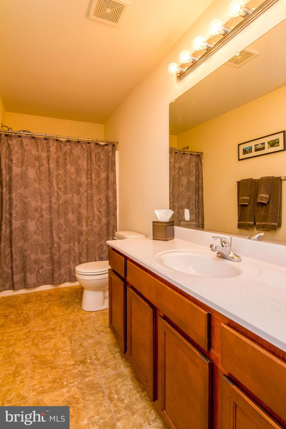 4021 Brummel Road Pasadena, MD 21122 - Photo 21 of 27 a bathroom with a sink a toilet and shower