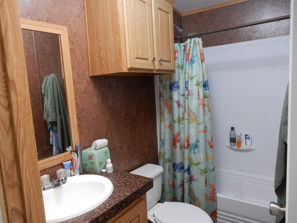 5101 Old Harper Road Harper, TX 78631 - Photo 11 of 17 a bathroom with a sink toilet and shower