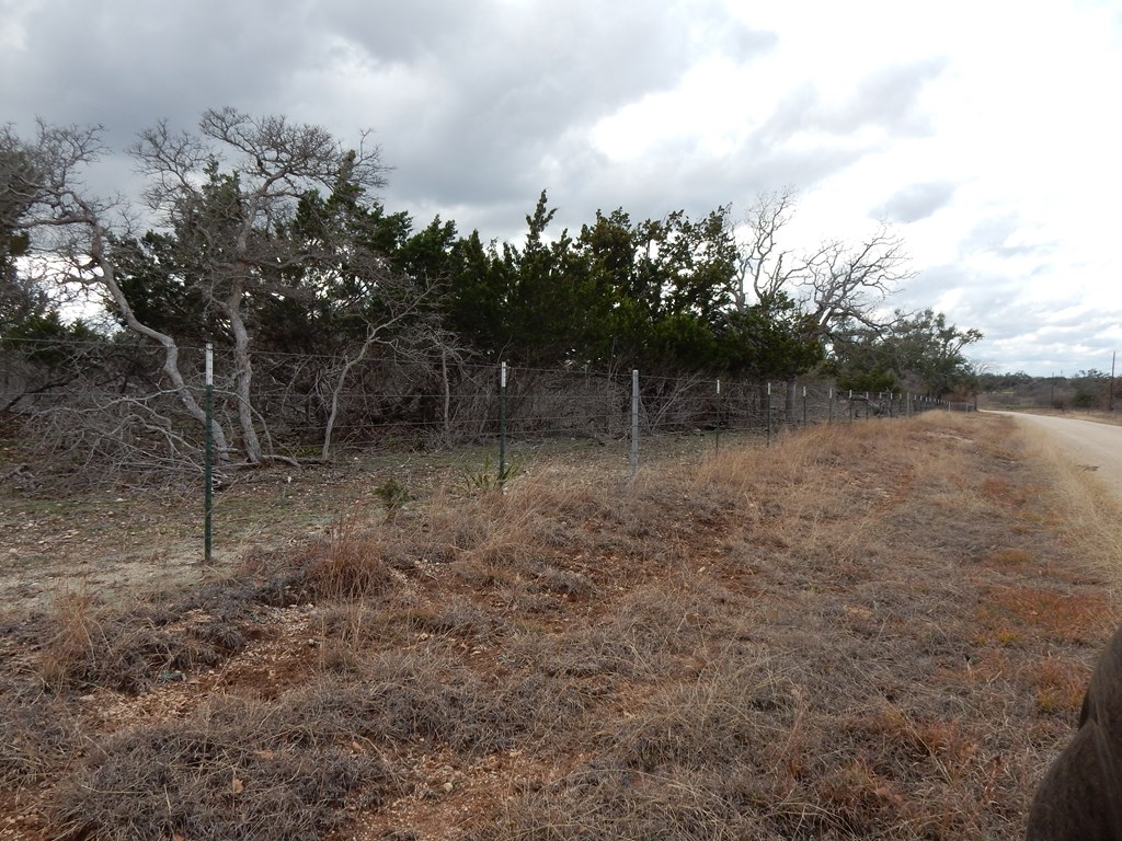 5101 Old Harper Road Harper, TX 78631 - Photo 16 of 17 a view of a forest with trees in the background