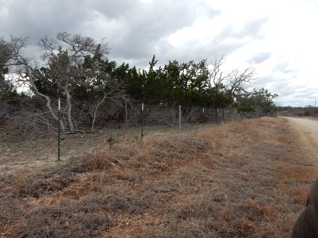 5101 Old Harper Road Harper, TX 78631 - Photo 17 of 17 a view of a forest with trees in the background