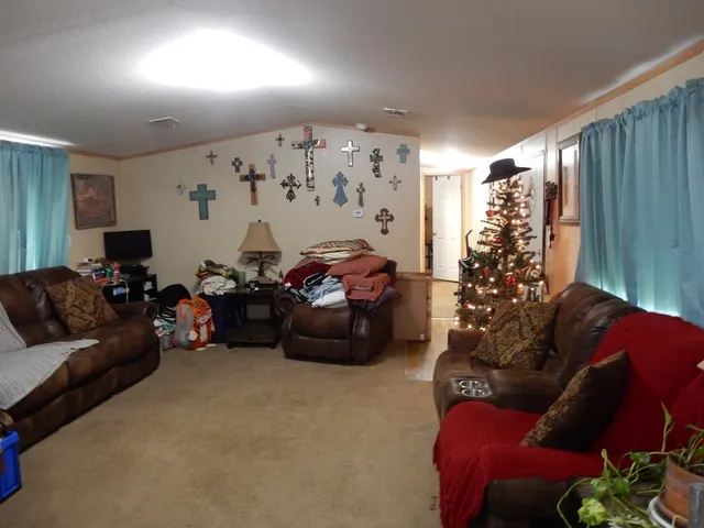 a room with furniture and screen