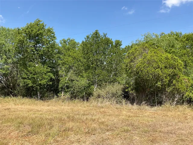 a view of a yard with a tree