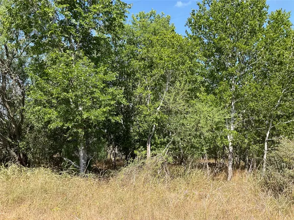 a view of a yard