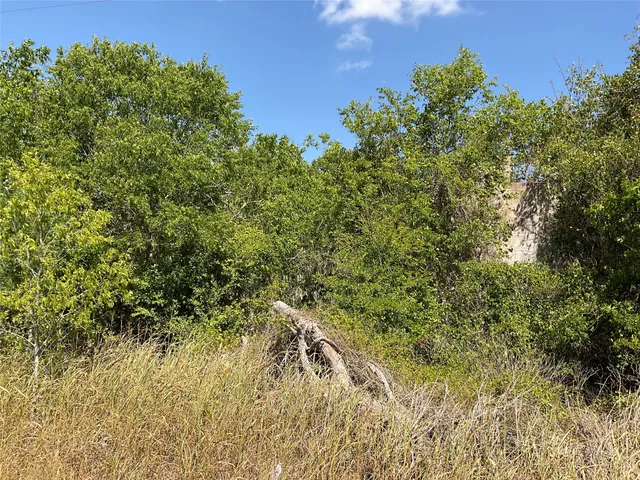 a view of a yard with a tree