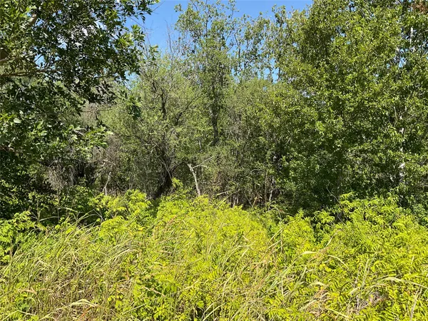 a view of a garden