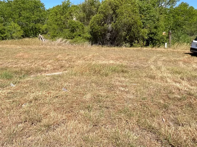 a view of a yard with a tree