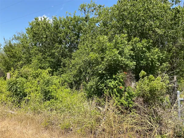 a view of a lush green forest next to a building