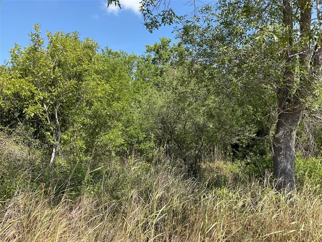 a view of a green field