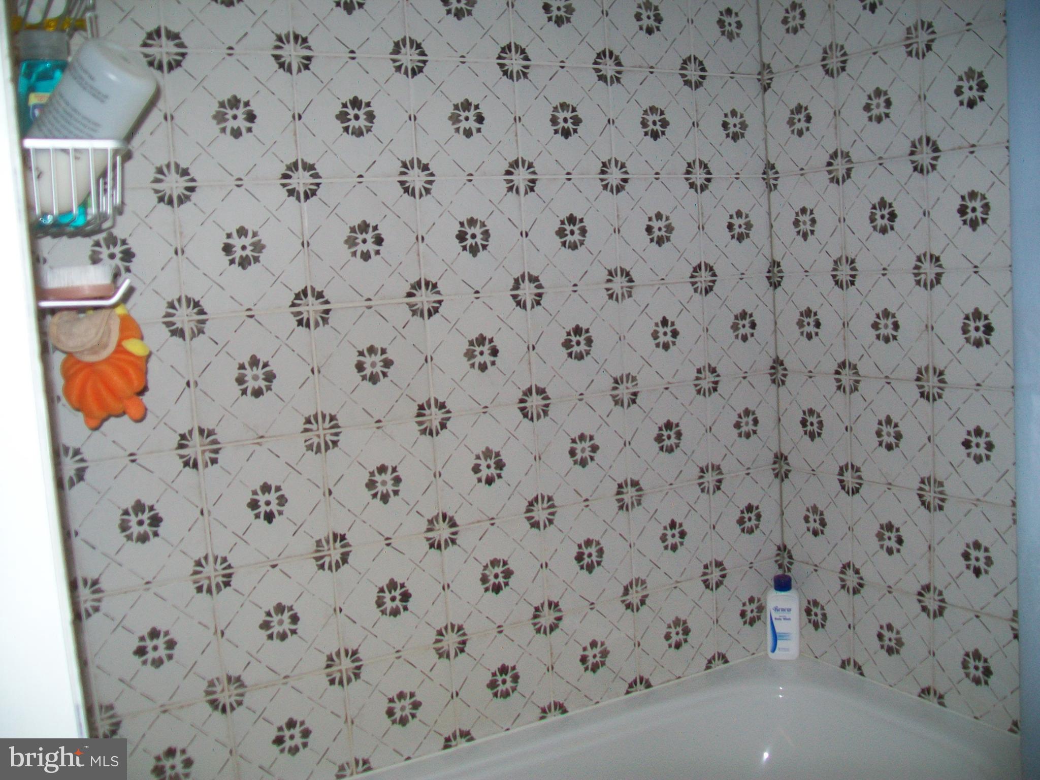 5621 Kiser Gap Road Upper Tract, WV 26866 - Photo 14 of 54