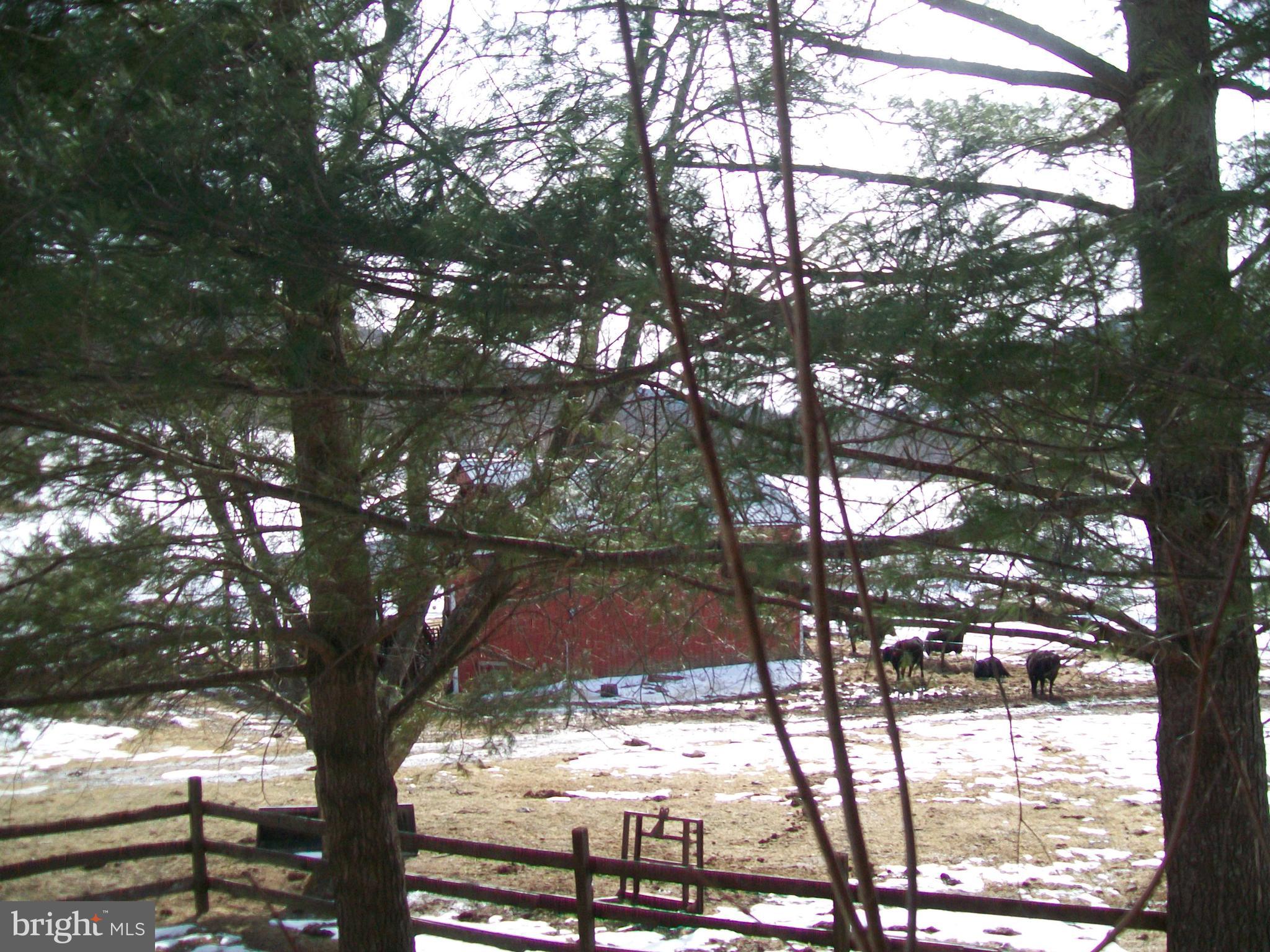 5621 Kiser Gap Road Upper Tract, WV 26866 - Photo 54 of 54