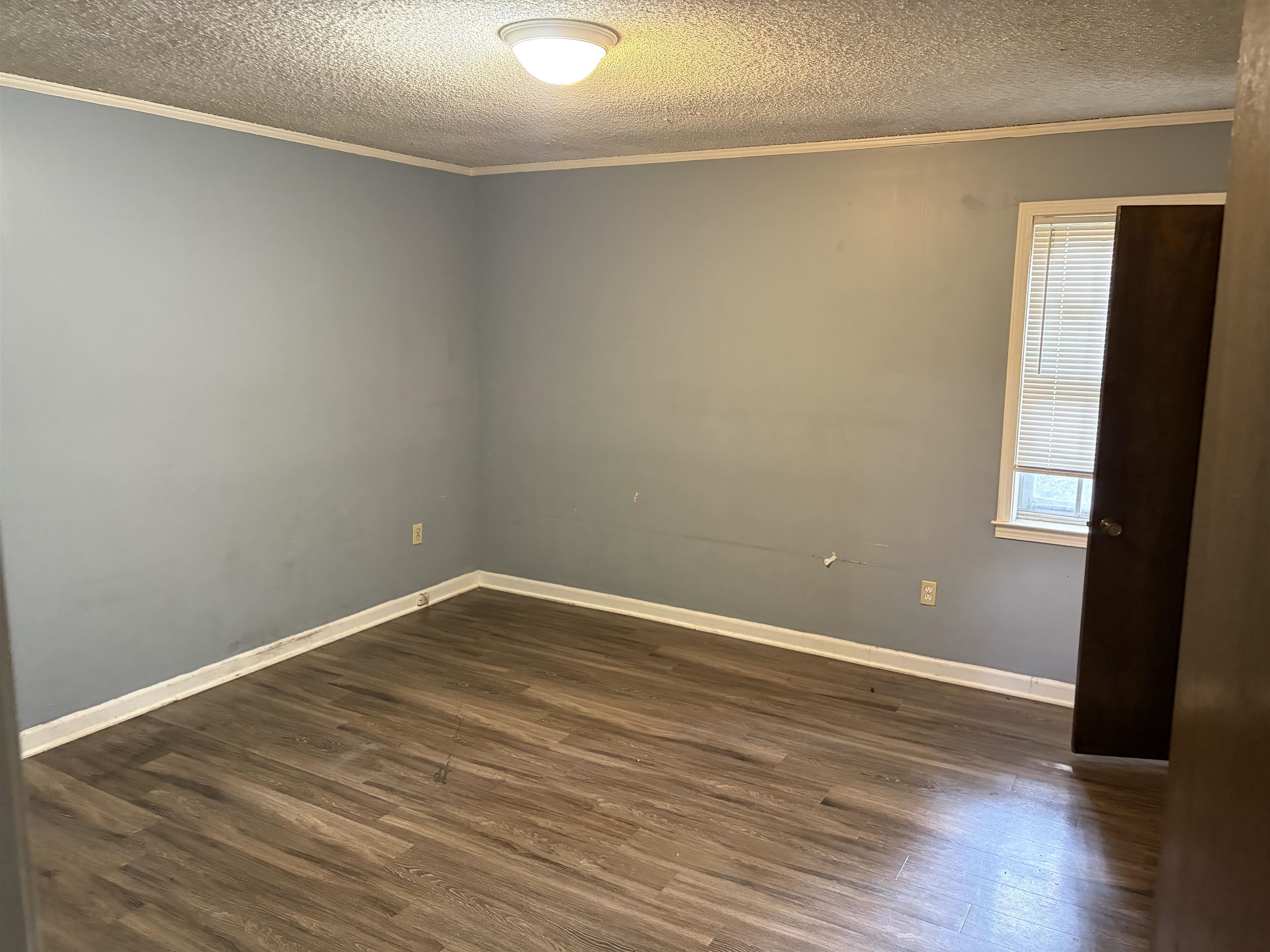 4993 Cedar View Road Memphis, TN 38118 - Photo 16 of 23 Room featuring wood-finish flooring, light blue walls, white baseboards, and a single window with blinds