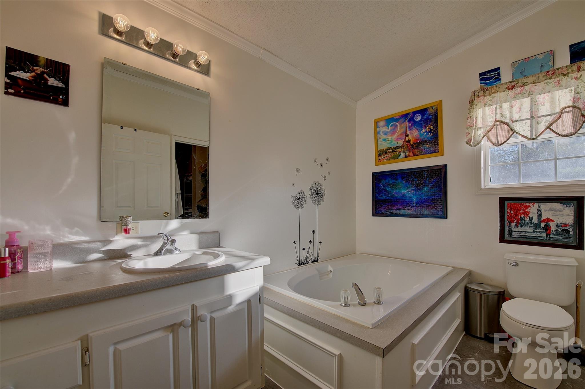 3 Altapass Trail Spruce Pine, NC 28777 - Photo 23 of 43 a bathroom with a granite countertop sink a toilet and a mirror