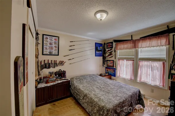 a view of a road with plants and large trees