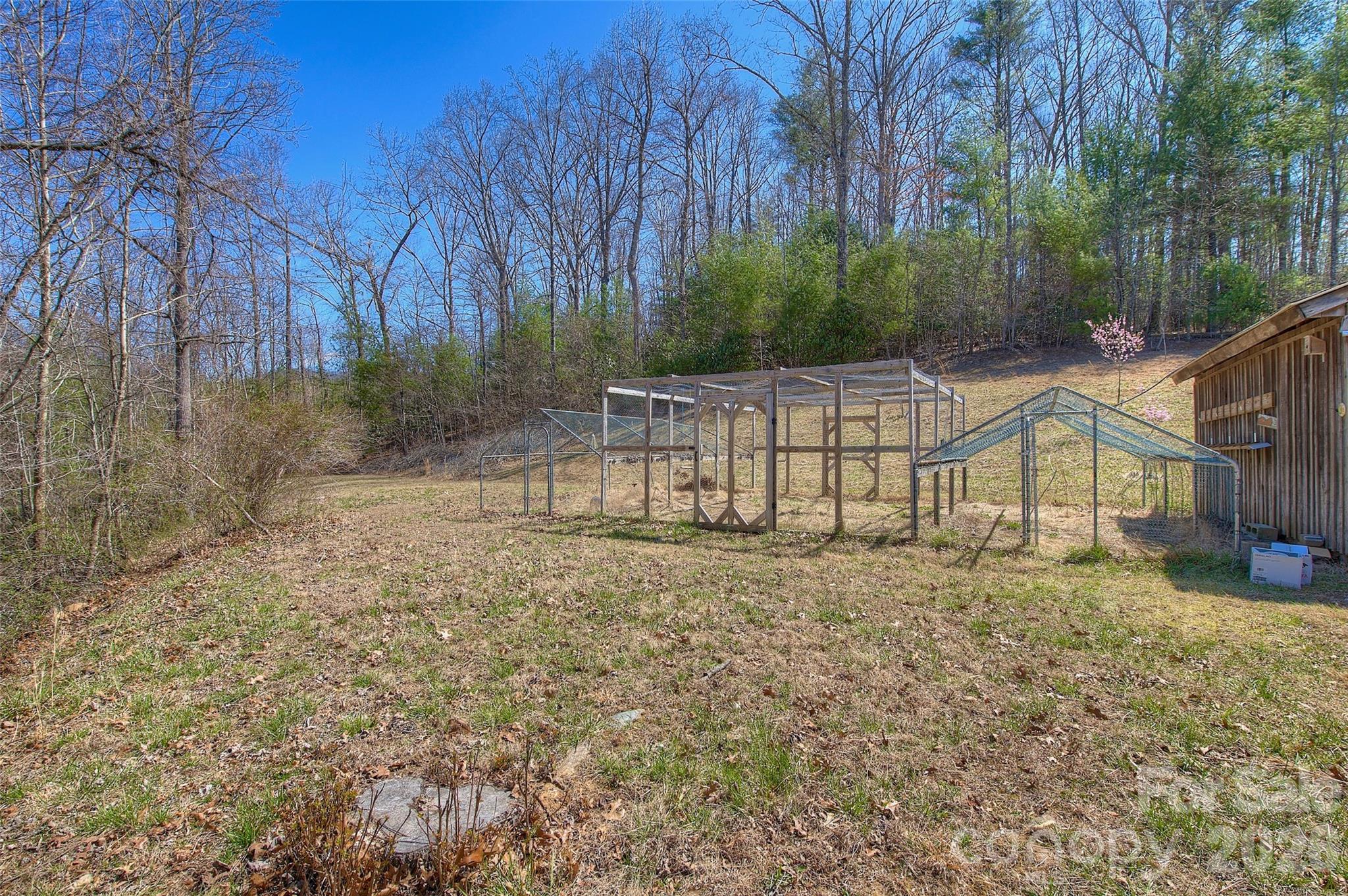 3 Altapass Trail Spruce Pine, NC 28777 - Photo 32 of 43 a view of backyard with green space