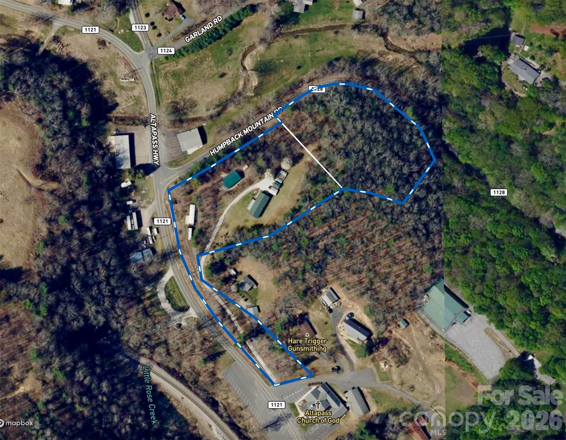 3 Altapass Trail Spruce Pine, NC 28777 - Photo 5 of 43 a city view with tall trees