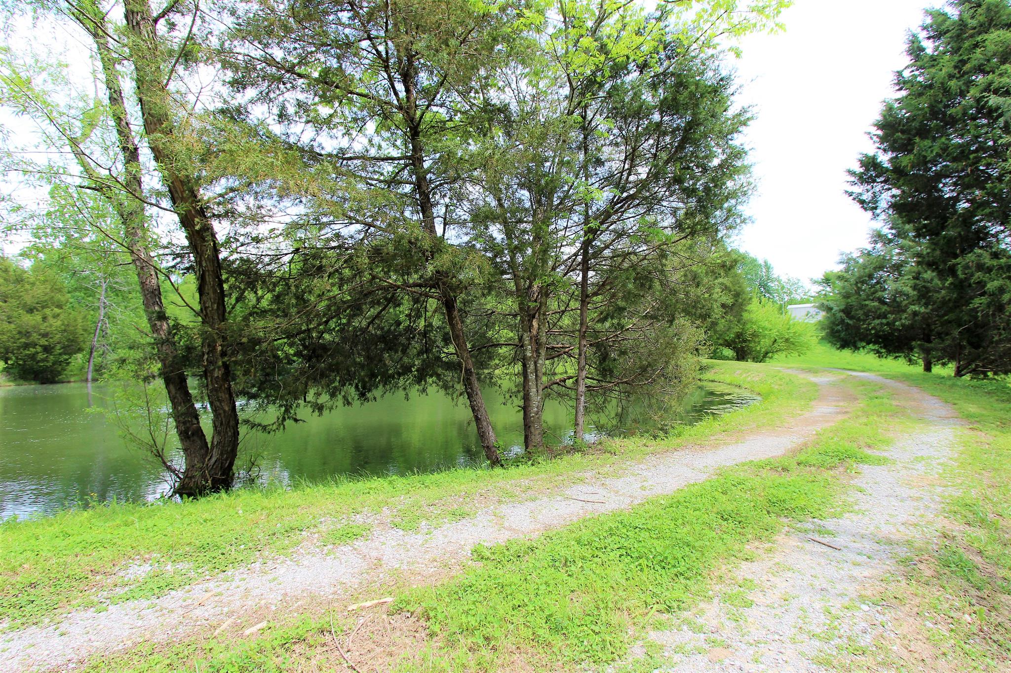 1073 Speck Road Lebanon, TN 37087 - Photo 13 of 20 a view of backyard with green space
