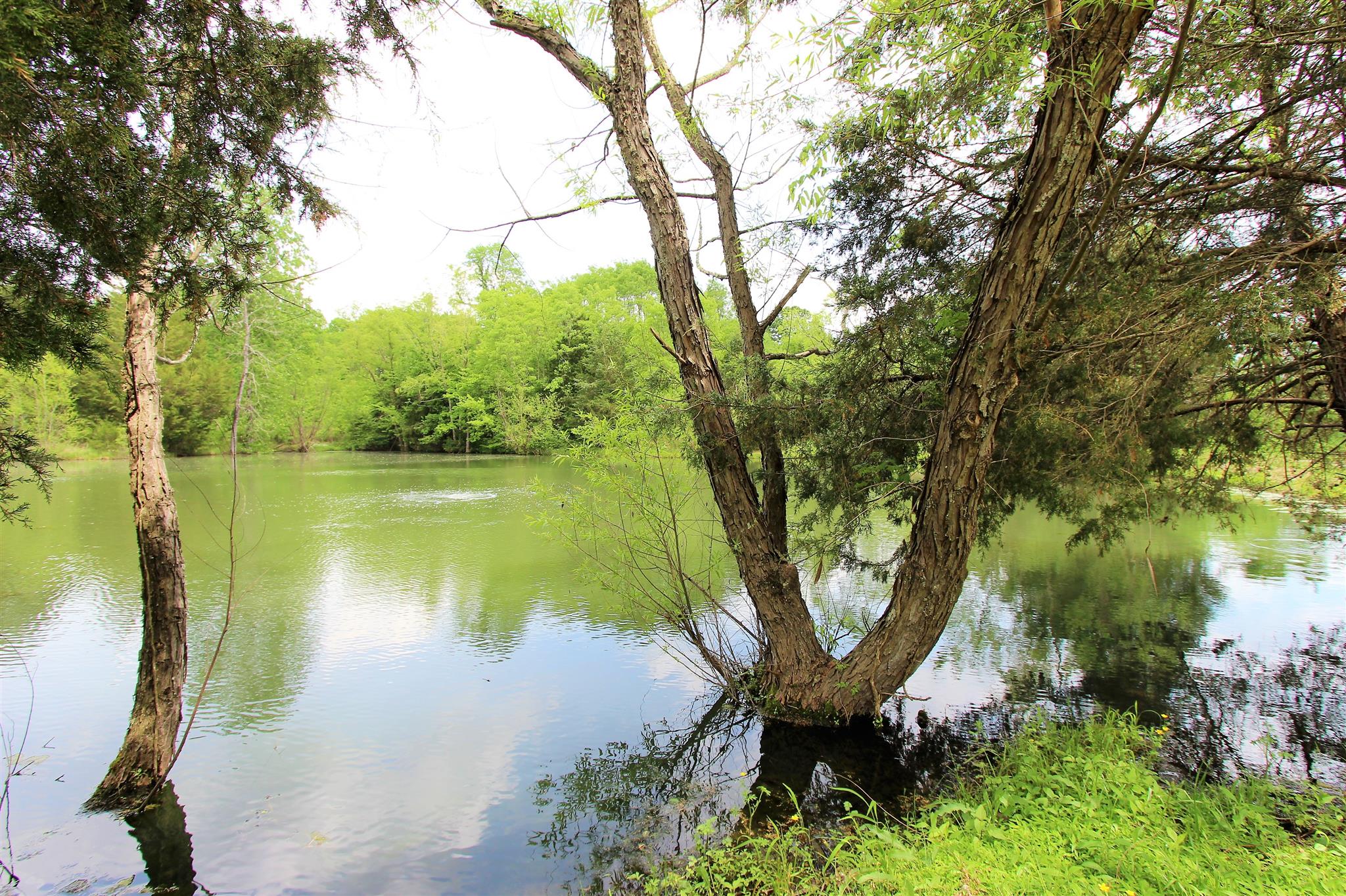 1073 Speck Road Lebanon, TN 37087 - Photo 14 of 20 a view of a lake with a tree