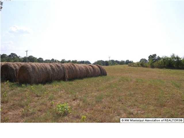 2994 Clear Creek Road Lamar, MS 38642 - Photo 5 of 19 Additional Photo