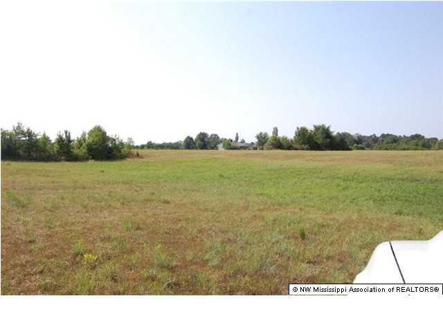 2994 Clear Creek Road Lamar, MS 38642 - Photo 9 of 19 Additional Photo