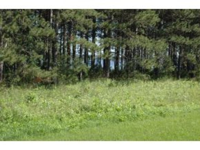 Lot 2 Cody Road Tomahawk, WI 54487 - Photo 5 of 9 Gallery Image 5