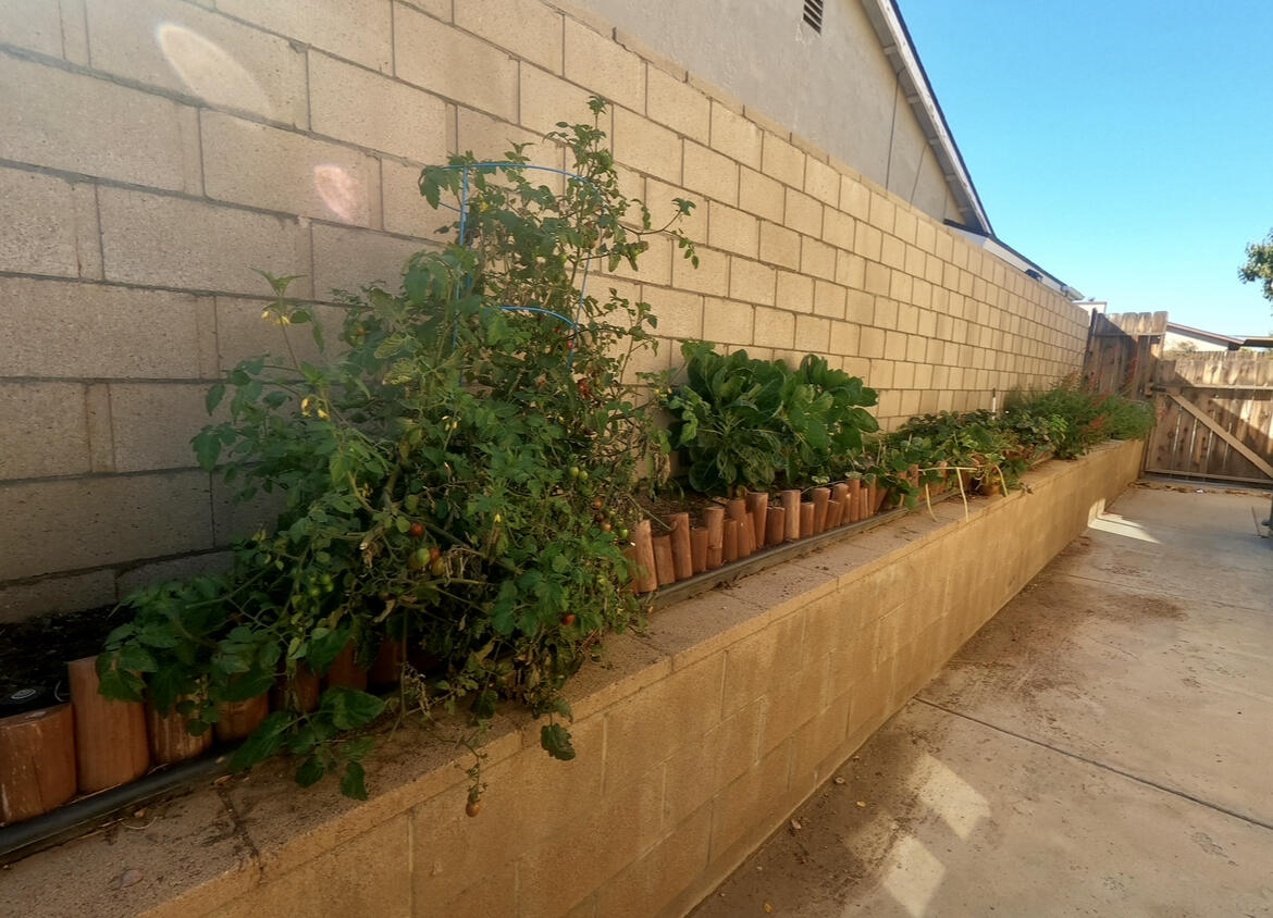 1370 Green Street Tehachapi, CA 93561 - Photo 17 of 19 IMG_4410