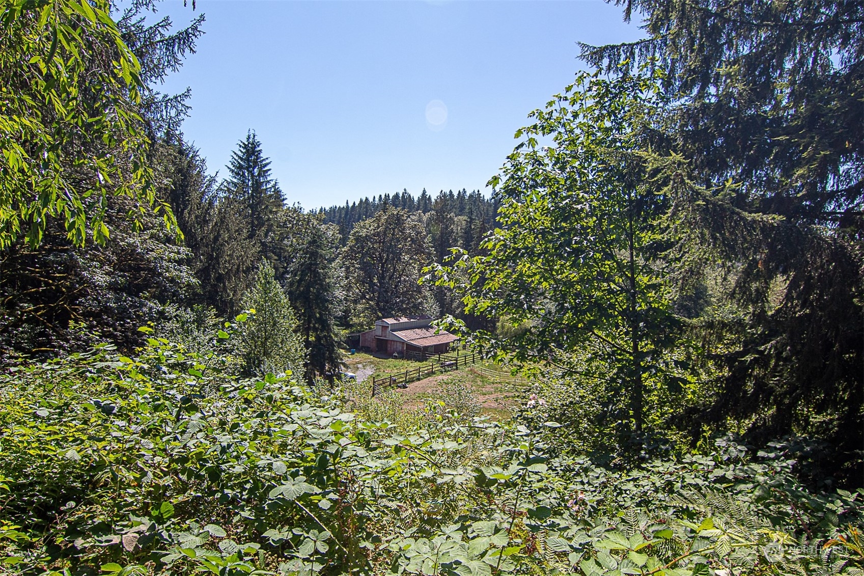 9402 Ray Gray Road Granite Falls, WA 98252 - Photo 4 of 9 a view of a forest