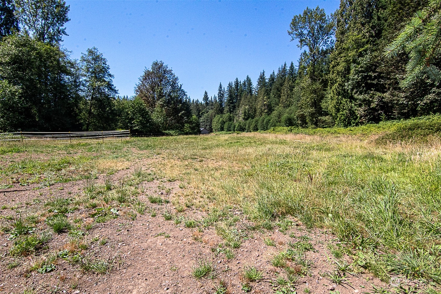 9402 Ray Gray Road Granite Falls, WA 98252 - Photo 5 of 9 a view of a yard with a tree