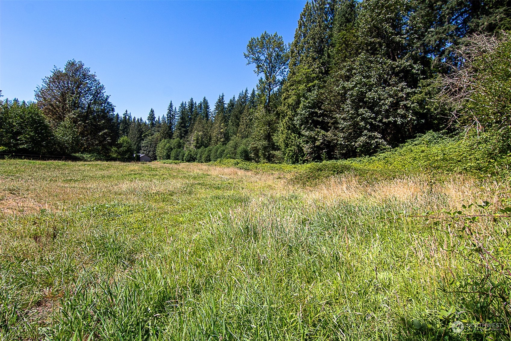 9402 Ray Gray Road Granite Falls, WA 98252 - Photo 6 of 9 a view of outdoor space and yard