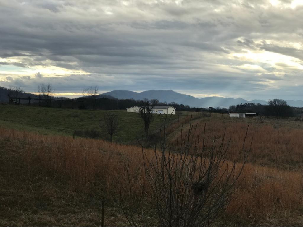 210 Birds Bridge Road Greeneville, TN 37743 - Photo 12 of 36 Longrange Mountain view