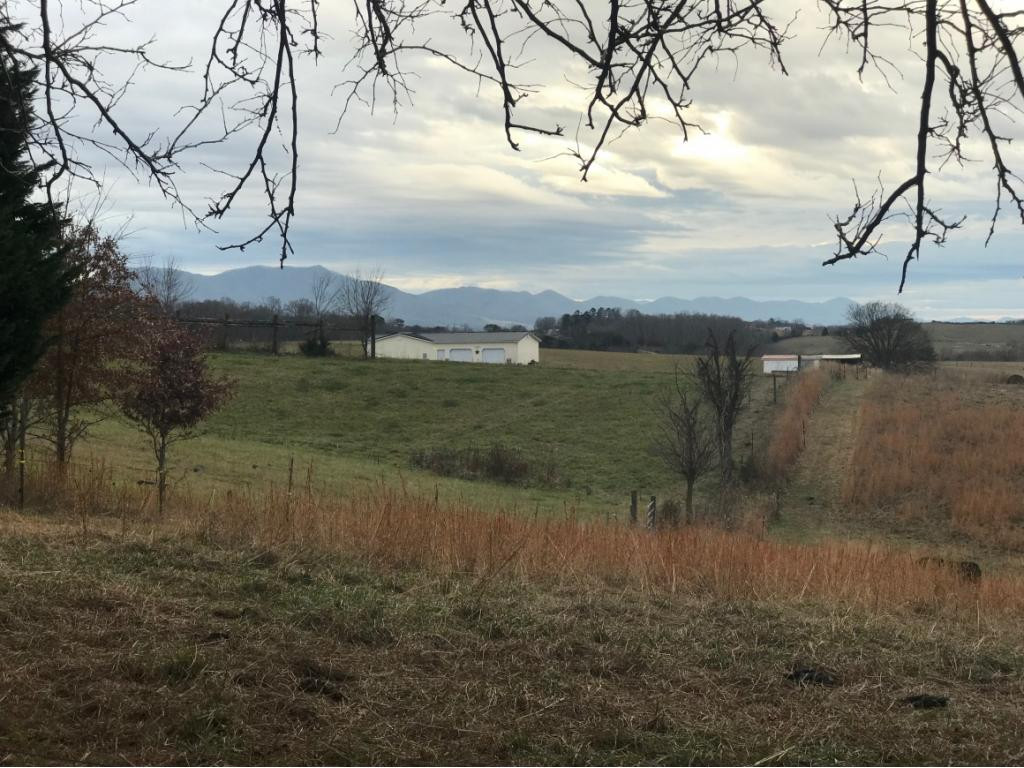 210 Birds Bridge Road Greeneville, TN 37743 - Photo 13 of 36 Photo 13