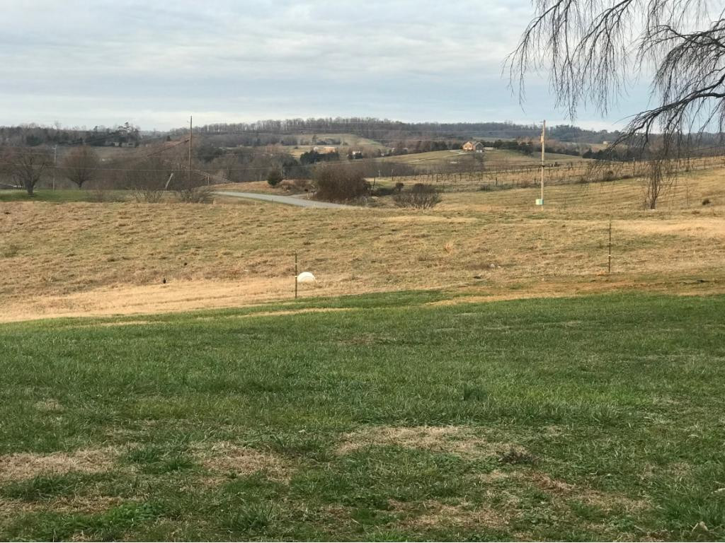 210 Birds Bridge Road Greeneville, TN 37743 - Photo 35 of 36 Farmland on the other side