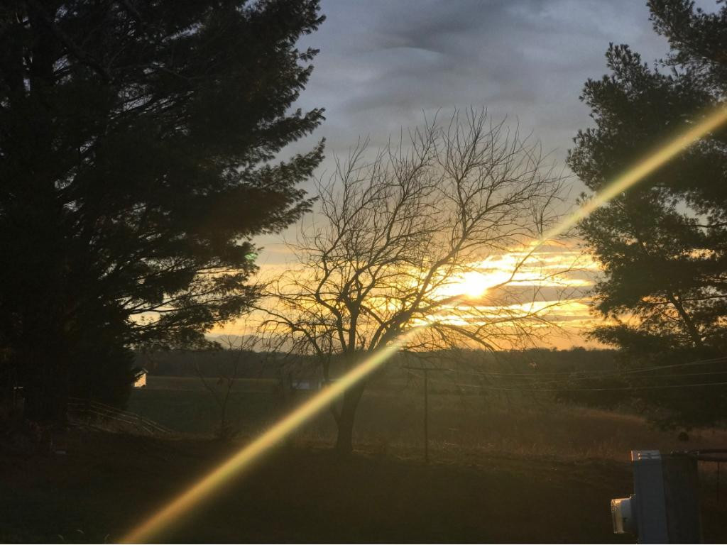 210 Birds Bridge Road Greeneville, TN 37743 - Photo 36 of 36 Gorgeous sunsets off the back