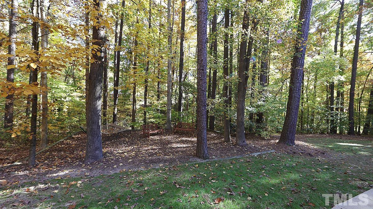 7300 Rainwater Road Raleigh, NC 27615 - Photo 17 of 18 a view of a forest that has large trees