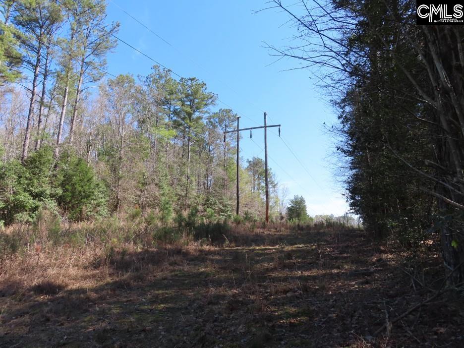 1672 Dixired Road Leesville, SC 29070 - Photo 50 of 67