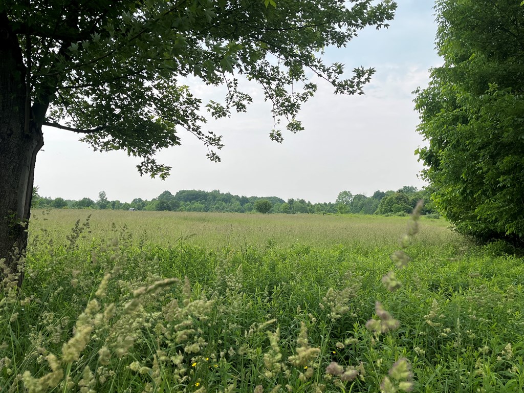 23701 Range Road Union City, PA 16438 - Photo 7 of 33 a view of lake with green space