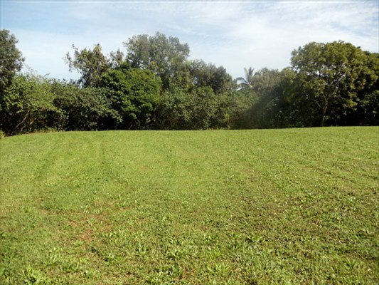 Kapuna Road, Unit 3 Kilauea, HI 96754 - Photo 13 of 24 Gallery Image 13