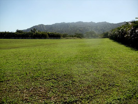 Kapuna Road, Unit 3 Kilauea, HI 96754 - Photo 15 of 24 Gallery Image 15