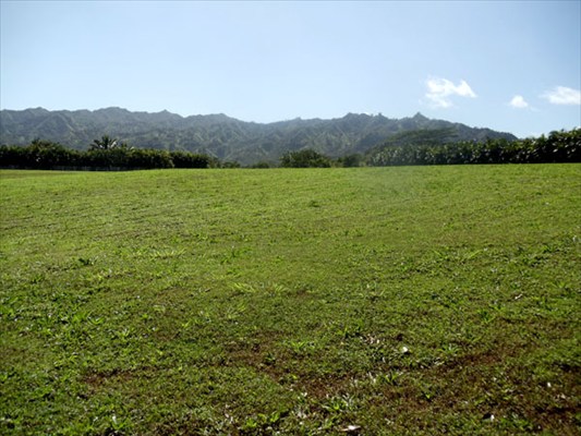 Kapuna Road, Unit 3 Kilauea, HI 96754 - Photo 16 of 24 Gallery Image 16