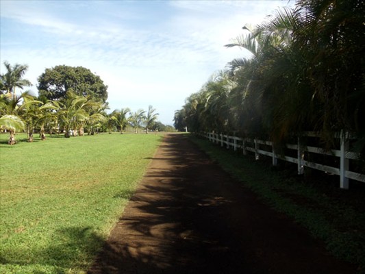 Kapuna Road, Unit 3 Kilauea, HI 96754 - Photo 17 of 24 Gallery Image 17