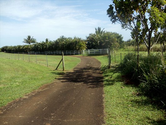 Kapuna Road, Unit 3 Kilauea, HI 96754 - Photo 20 of 24 Gallery Image 20