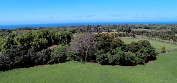 Kapuna Road, Unit 3 Kilauea, HI 96754 - Photo 2 of 24 Gallery Image 2